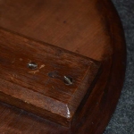Dishtop, Walnut Candlestand